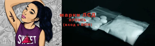 мдпв Инсар