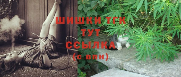 гашик Медвежьегорск