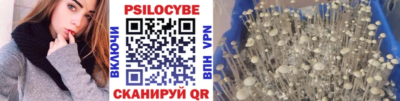 Галлюциногенные грибы GOLDEN TEACHER  ОМГ ОМГ ссылка  Щёкино 